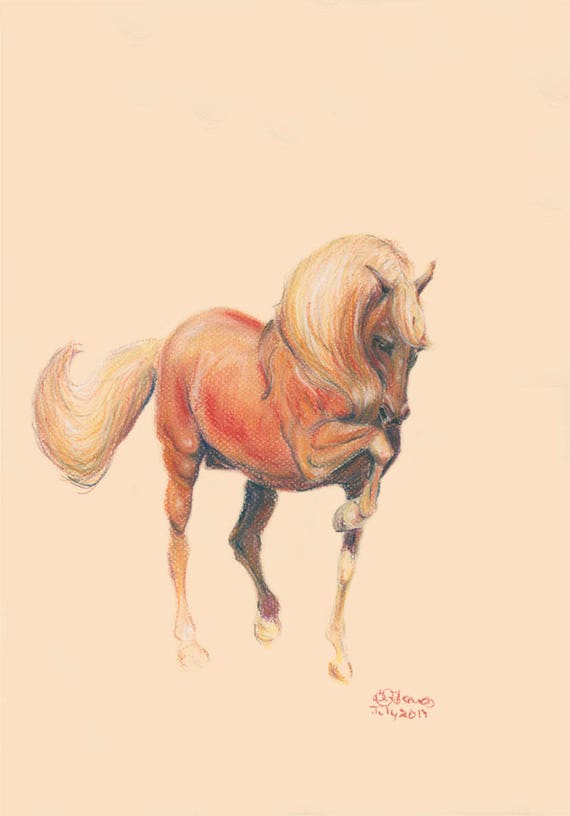 gifts for horse mad girl