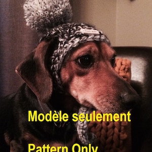 May include: A crocheted dog hat in a variegated grey and white yarn featuring a large pom-pom on top and a small rectangular tag. The text Modèle seulement Pattern Only is printed in yellow across the lower portion of the image.