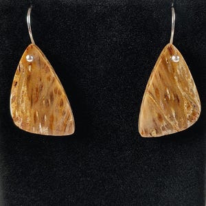Petrified Palm Wood and Sterling Silver Earrings Handmade by Chris Hay