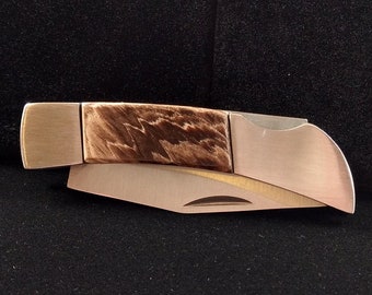 Petrified Wood Pocket Knife Handmade by Chris Hay