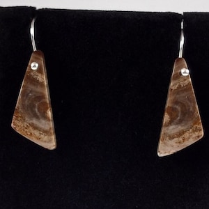 Petrified Wood and Sterling Silver Earrings Handmade by Chris Hay