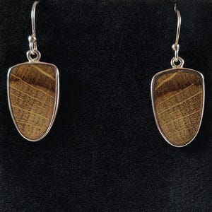 Petrified Palm Wood and Sterling Silver Earrings Handmade by Chris Hay