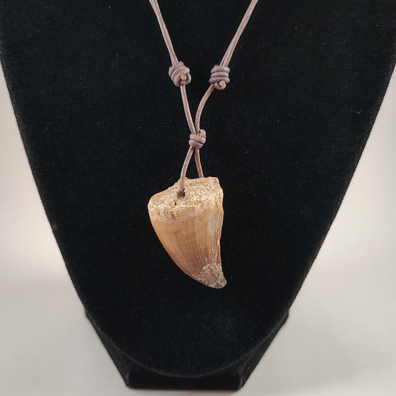 Dinosaur (Mosasaur) Tooth Fossil Pendant Adjustable Leather Necklace Handmade by Chris Hay