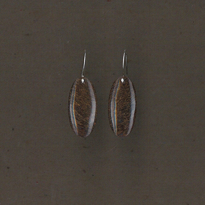 Dinosaur Bone and Sterling Silver Earrings Handmade by Chris Hay