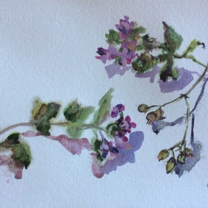 Wild   Flowers  Painting Original Watercolour  Floral Painting 6 x 8’’