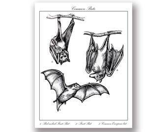 bat print etsy