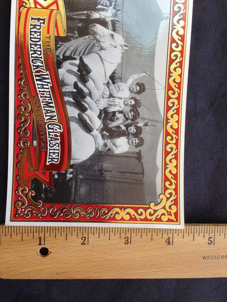 Circus Postcards Barnum & Bailey Circus Ringling Museum of