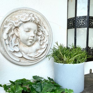 May include: A white plaster wall plaque with a sculpted cherub face, a gray planter with rosemary plants, and a green leafy plant in the foreground.