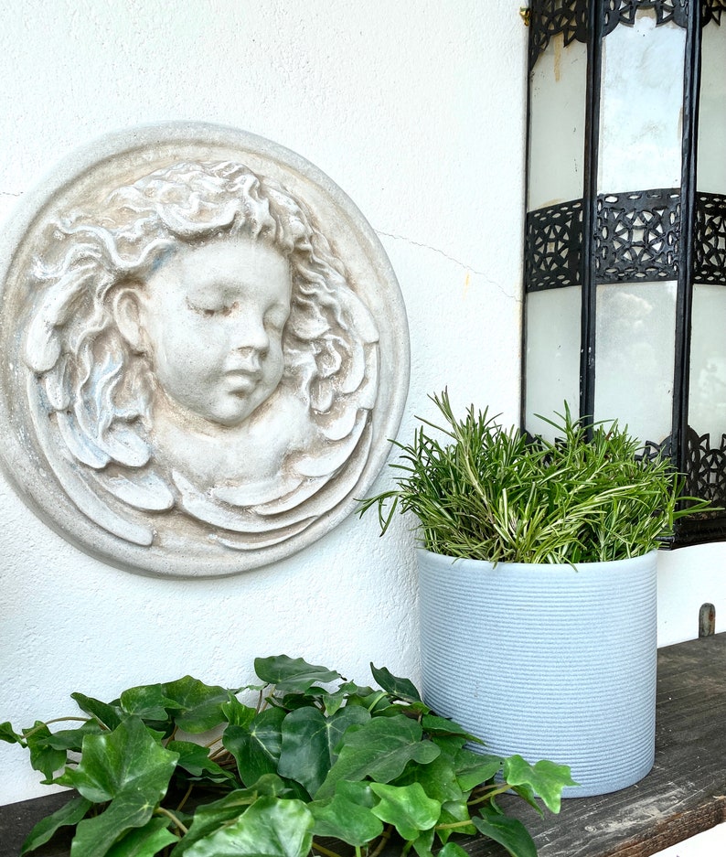 May include: A white plaster wall plaque with a sculpted cherub face, a gray planter with rosemary plants, and a green leafy plant in the foreground.