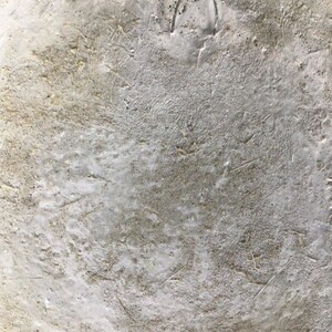 May include: The back of a white ceramic wall plate with a wire hanger attached. The plate has a rough, textured surface.