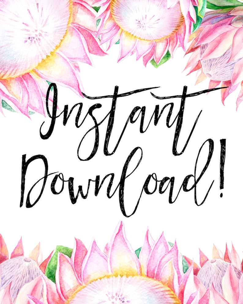 May include: Pink and white watercolor illustration of protea flowers with the text "Instant Download!" in black cursive font.