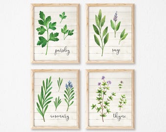 Herbs Print Set of 4 Printables Wood-Herb Prints-Parsley Sage Rosemary Thyme Wall Art Printable-Garden Herbs Print-Farmhouse Herb Kitchen