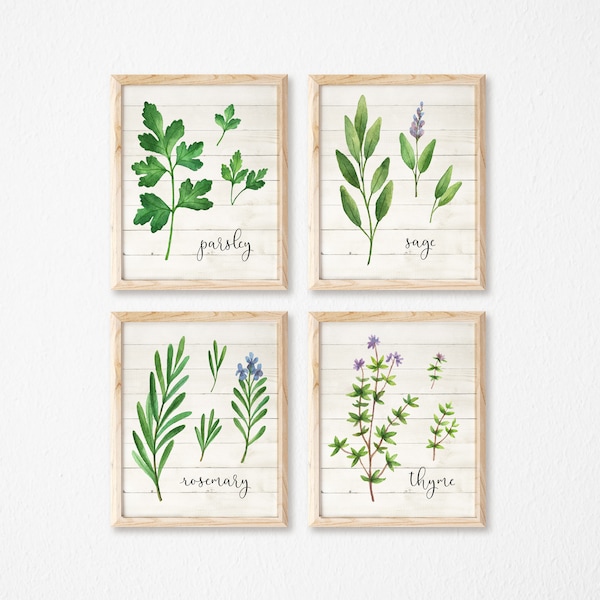 Herbs Print Set of 4 Printables Wood-Herb Prints-Parsley Sage Rosemary Thyme Wall Art Printable-Garden Herbs Print-Farmhouse Herb Kitchen