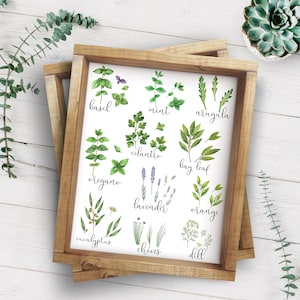 Herb Printable-herbs Print-set of 4 Printables-parsley Sage Rosemary ...
