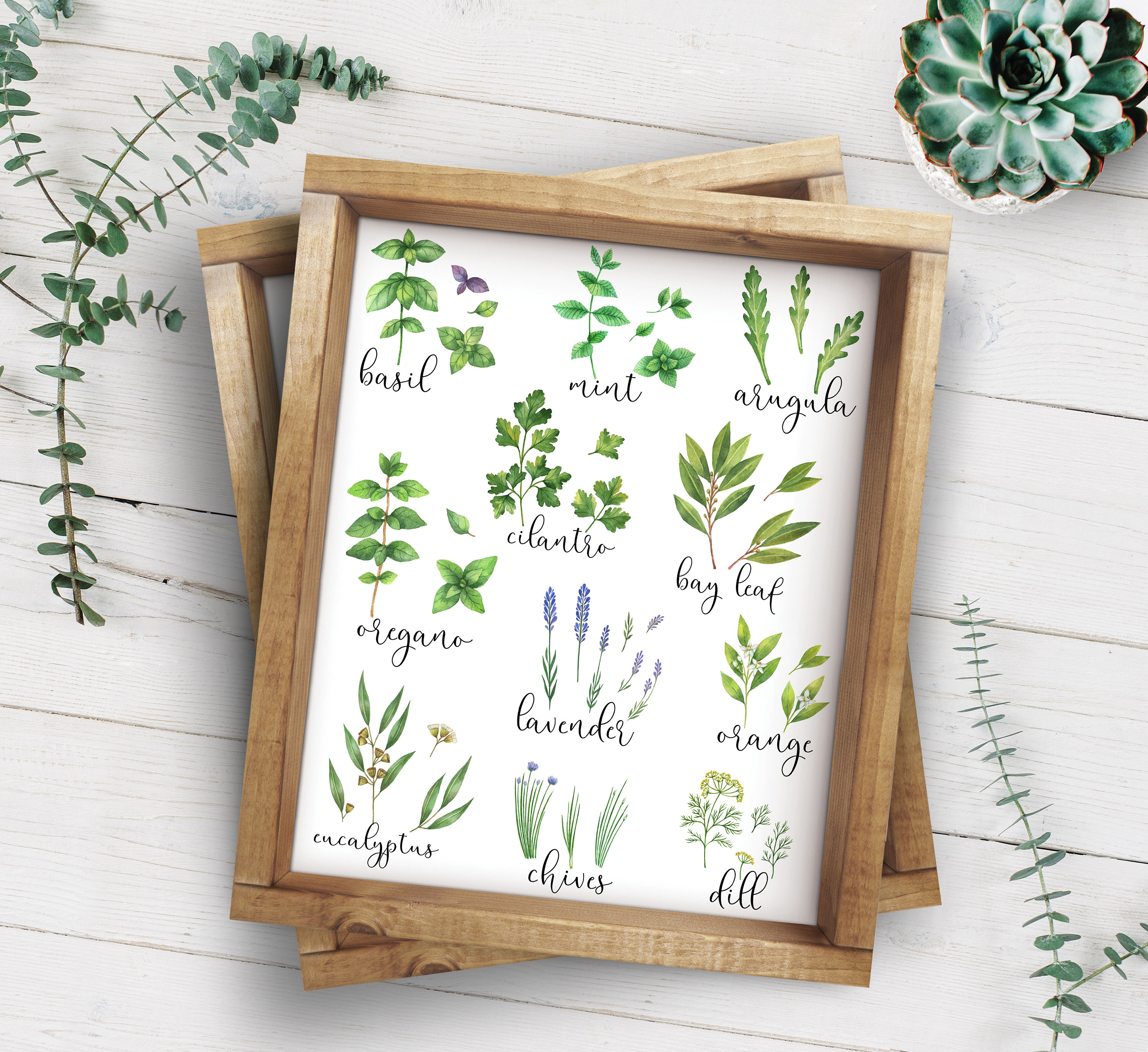 Herb Printable-herbs Print-set of 4 Printables-parsley Sage | Etsy