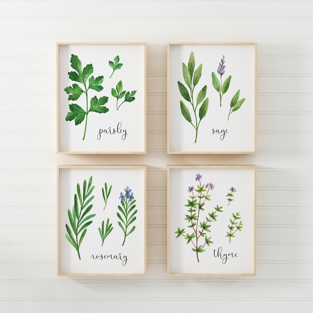 Herb Printable-herbs Print-set of 4 Printables-parsley Sage Rosemary ...