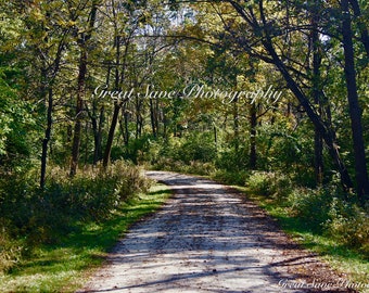 A Shaded Path, Photography, Home Decor
