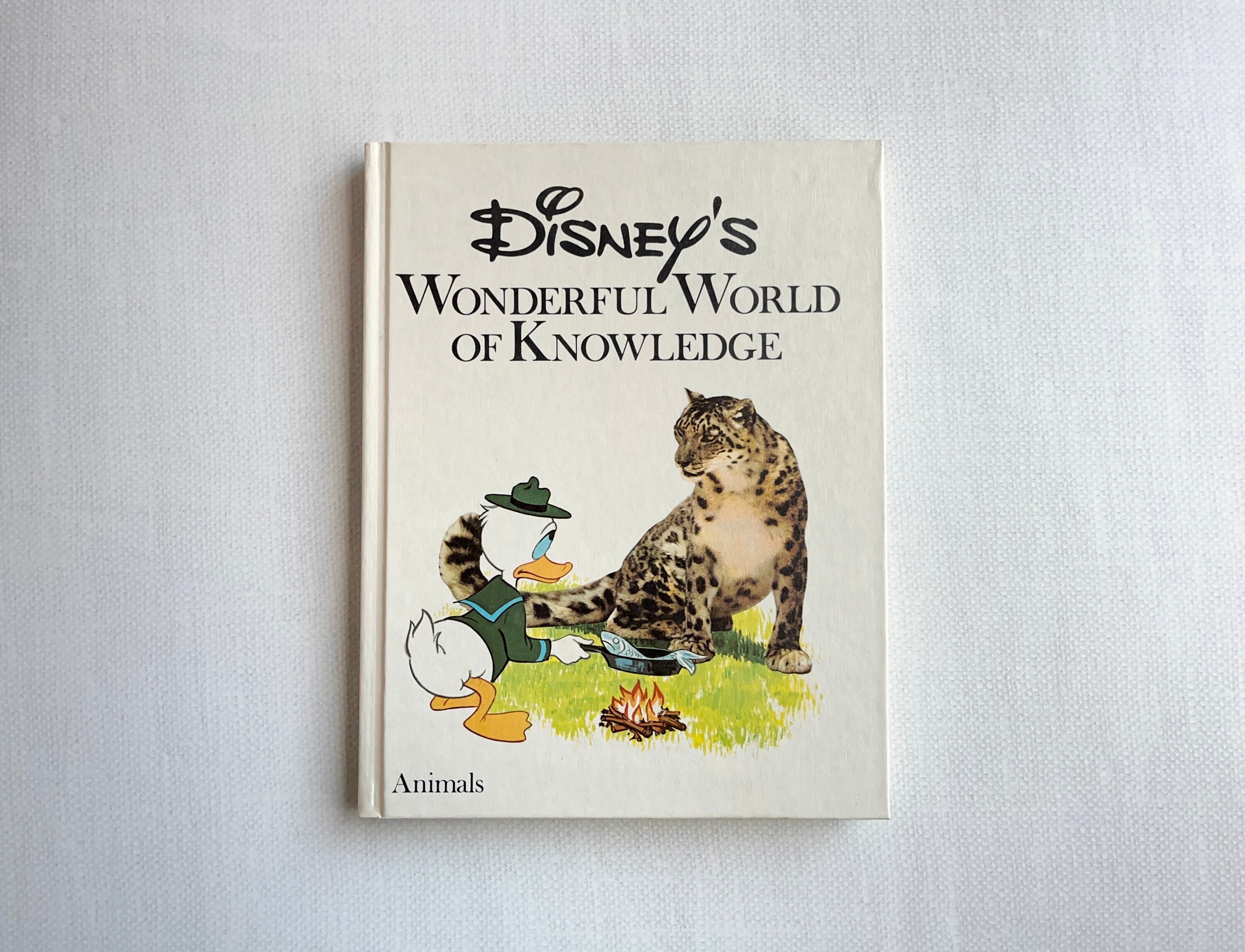 ディズニーヴィンテージコレクターブックビンテージ本 Disneybook