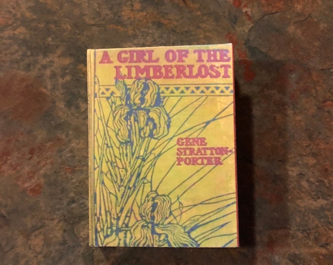 A Girl of the Limberlost doll sized mini book for American Girl Dolls