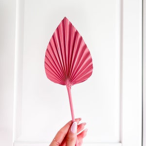 May include: A pink dried palm leaf, also known as a 'fan palm', with a long stem. The leaf is folded in a fan shape.