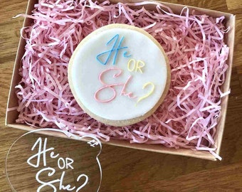 Ele ou ela? Gravador de biscoitos, carimbo de biscoitos de chá de bebê, relevo de biscoitos de chá de bebê, relevo de fondant, carimbo de confeiteiro de bebê, carimbo de chá de bebê