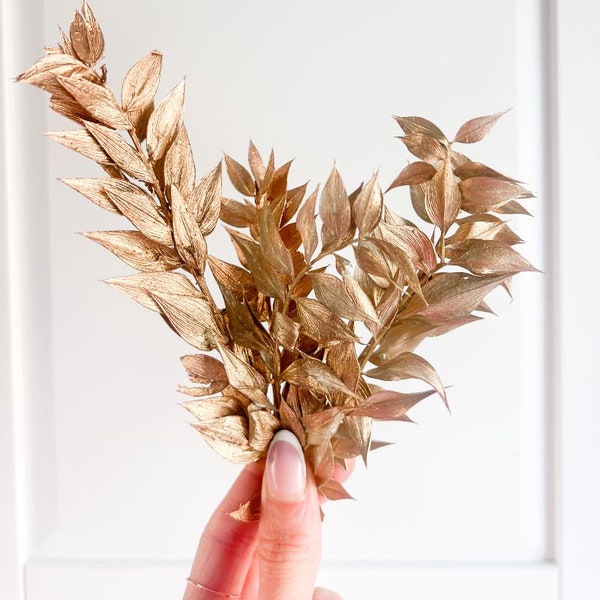 MINI Antique Gold Preserved Ruscus for Cakes, 6 x Mini Stem Dried Flowers Cake Decoration