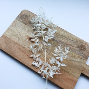 White Preserved Ruscus for Cakes, 1 x Stem Dried Flowers Cake Decoration