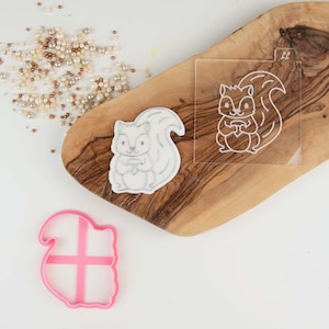 Squirrel Cookie Cutter and Embosser, Woodland Cookie Cutter, Woodland Animal Cookie Embosser, Woodland Cookie Stamp, Postal Box Ideas
