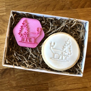 Winter Scene Cookie Stamp, Christmas Embosser, Christmas Fondant Stamp, Icing Stamp, Merry Christmas Cookie Stamp, Fondant Embosser