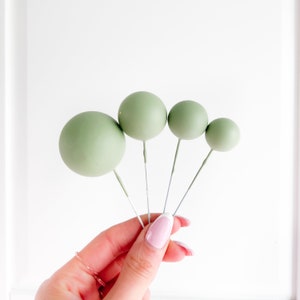 Cake Balls Set van 4 - Salie Taart Decoratie