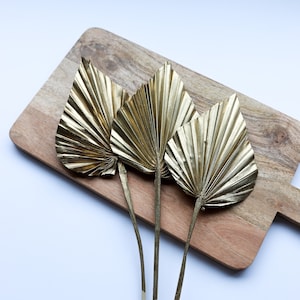 Buy BESPORTBLE 15pcs Dried Palm Leaves, Dried Palm, Palm Leaves, Gold  Leaves Decorations, Palm Golden Palm Leaves Artificial Leaves Leaf Cake  Decorations, Artificial Tropical Palm Leaves Online at desertcartUAE