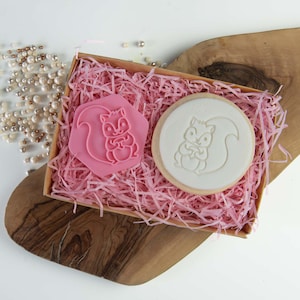 Eekhoorn Cookie Stempel, Woodland Cookie Cutter, Woodland Animal Cookie Embosser, Woodland Cookie Stamp, Postal Box Ideas