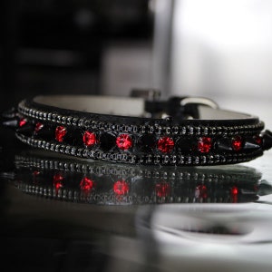 May include: Black leather dog collar with red and black rhinestones and silver spikes.