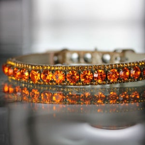 Rockstar TM - XS-3XL Carnelian Orange and Yellow Topaz Rhinestones Fall Dog Pet Jewelry Collar Necklace and Safety Collar