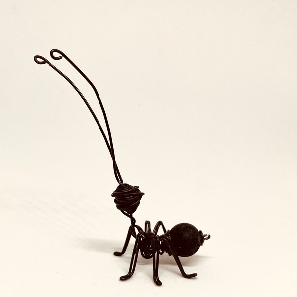 Black volcanic lava. Ant with lava. Wire ant. Wire art. Wire ornament. Wire and lava. funny ants. Ant