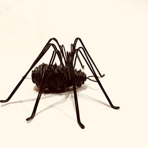 Puede incluir: Una escultura de ara&ntilde;a de alambre negro con patas largas. La ara&ntilde;a est&aacute; hecha de alambre retorcido y tiene un aspecto realista.
