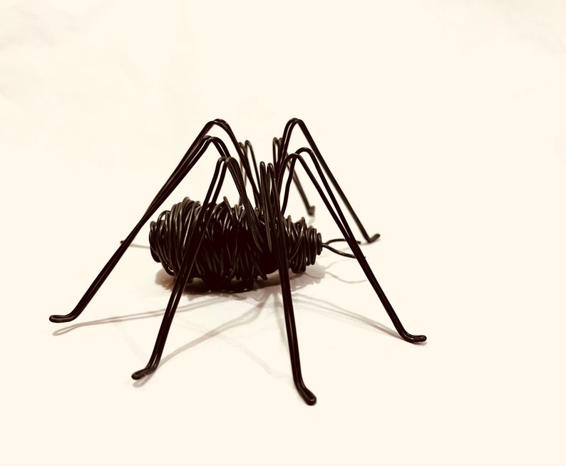 Puede incluir: Una escultura de ara&ntilde;a de alambre negro con patas largas. La ara&ntilde;a est&aacute; hecha de alambre retorcido y tiene un aspecto realista.