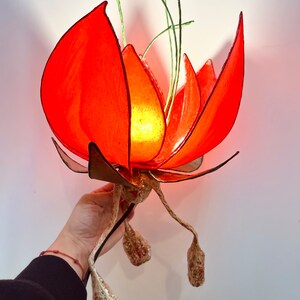 Puede incluir: Una l&aacute;mpara de papel con forma de flor roja con una luz en su interior. La l&aacute;mpara tiene un cable largo y tres tallos hechos de papel con un acabado dorado.