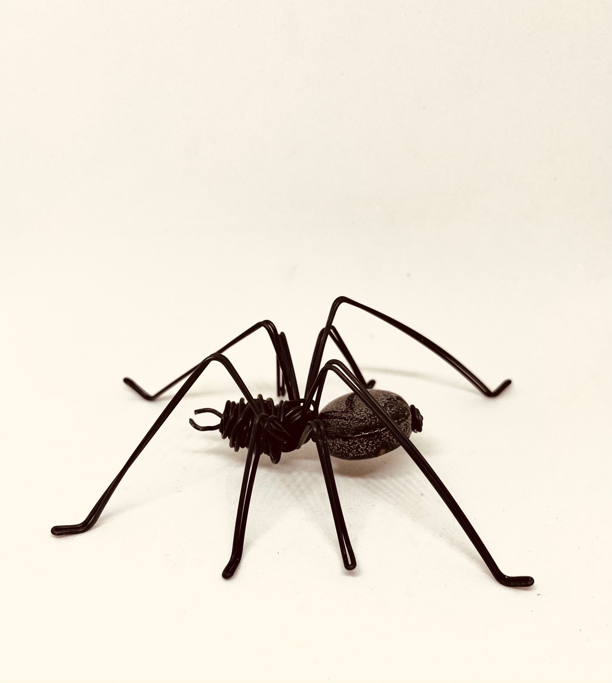 Daddy Long Legs Spider Craft – The Pinterested Parent