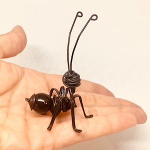 K&ouml;nnte beinhalten: Eine schwarze Drahtskulptur einer Ameise mit einer schwarzen Perle als Kopf. Die Ameise ist mit ausgestreckten Beinen und erhobenen F&uuml;hlern dargestellt.