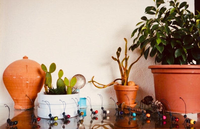 Puede incluir: Un bodeg&oacute;n con varias plantas en macetas, incluyendo cactus y una planta de hojas verdes. Hormigas decorativas de metal con cuerpos de cuentas de colores est&aacute;n dispuestas frente a las plantas. Tambi&eacute;n se ve una maceta grande de terracota y una maceta de cer&aacute;mica blanca.