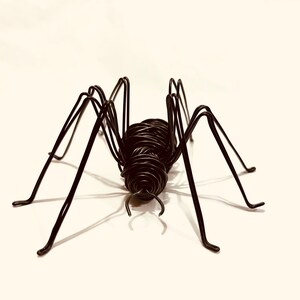 Puede incluir: Una escultura de ara&ntilde;a de alambre negro con ocho patas. La ara&ntilde;a est&aacute; hecha de alambre en espiral y tiene un cuerpo redondeado.