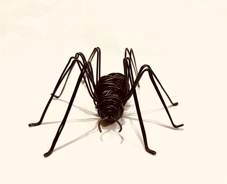 Puede incluir: Una escultura de ara&ntilde;a de alambre negro con ocho patas. La ara&ntilde;a est&aacute; hecha de alambre en espiral y tiene un cuerpo redondeado.