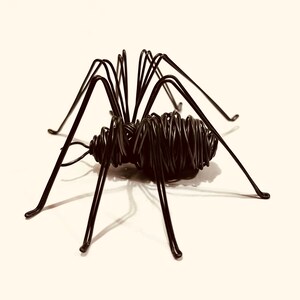 Puede incluir: Una escultura de ara&ntilde;a de alambre negro con patas largas y delgadas. El cuerpo de la ara&ntilde;a est&aacute; hecho de alambre enrollado apretadamente.