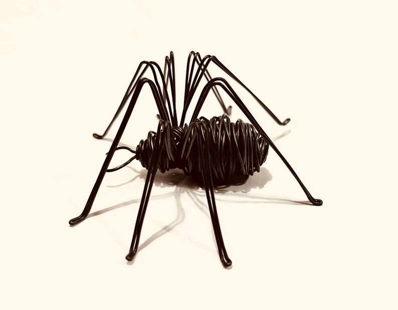 Puede incluir: Una escultura de ara&ntilde;a de alambre negro con patas largas y delgadas. El cuerpo de la ara&ntilde;a est&aacute; hecho de alambre enrollado apretadamente.
