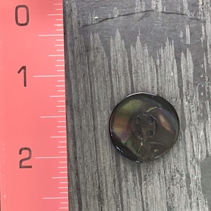 May include: A black button with a four-hole design. The button is made of a shiny, iridescent material.