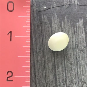 Vintage White Plastic Shank Buttons: 1/2&quot; (14mm)
