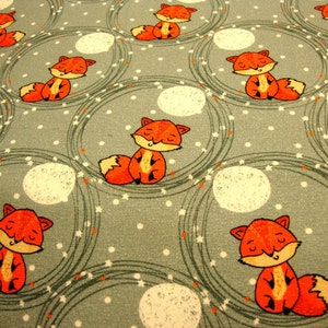 1m /21,95 Euro Baumwolljerseydruck Schlaf Gut Fuchs mintgraumeliert limitierte Auflage Tierprint Kreise Wolken Kinderstoff Jungs Meterware Bild 1