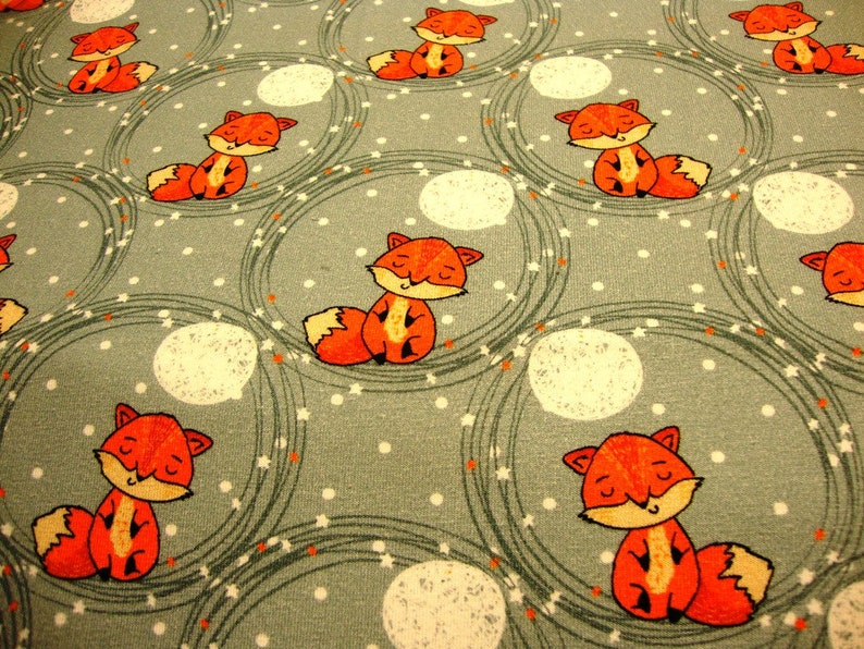 1m /21,95 Euro Baumwolljerseydruck Schlaf Gut Fuchs mintgraumeliert limitierte Auflage Tierprint Kreise Wolken Kinderstoff Jungs Meterware Bild 1