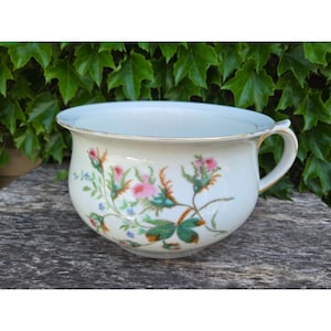 Puede incluir: Orinal de porcelana blanca con un diseño floral con flores y hojas rosas y verdes. El borde y el asa están adornados con oro. El fondo es una superficie de madera con follaje verde.